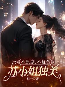 不原谅不复合苏小姐独美全文阅读书旗网
