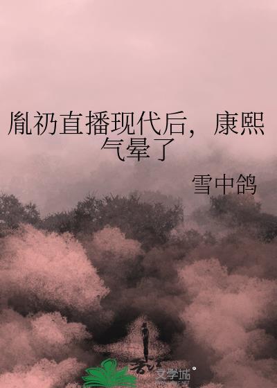 胤礽康熙全集合集