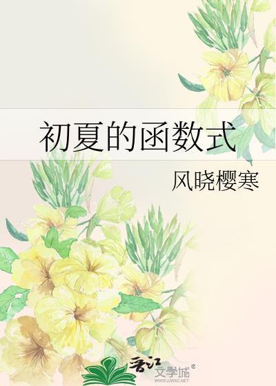 初夏的函数式全文阅读在线